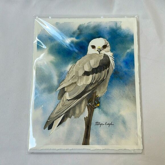 Skye Loyd White Tailed Kite Watercolor Print 8.5”x 11” Bird Of Prey Artwork New - Picture 3 of 6